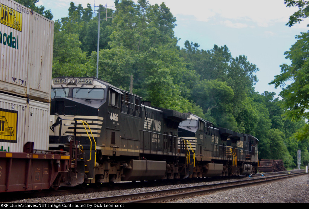 NS 4466